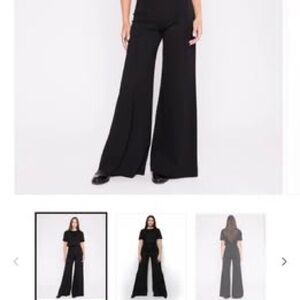 Chic Black Wide-Leg Ripley Radar Pants